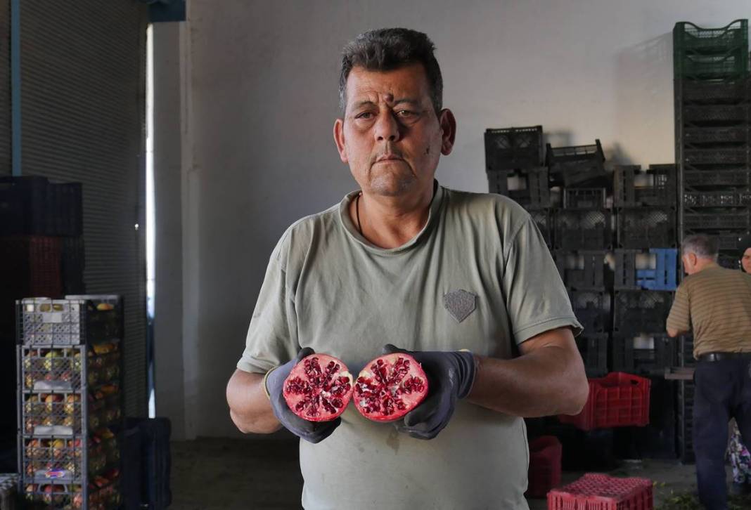 Neye niyet, neye kısmet: İlçenin ekonomisini ayağa kaldırdı! Yüksek gelir elde ediyorlar, kapış kapış satılıyor 9